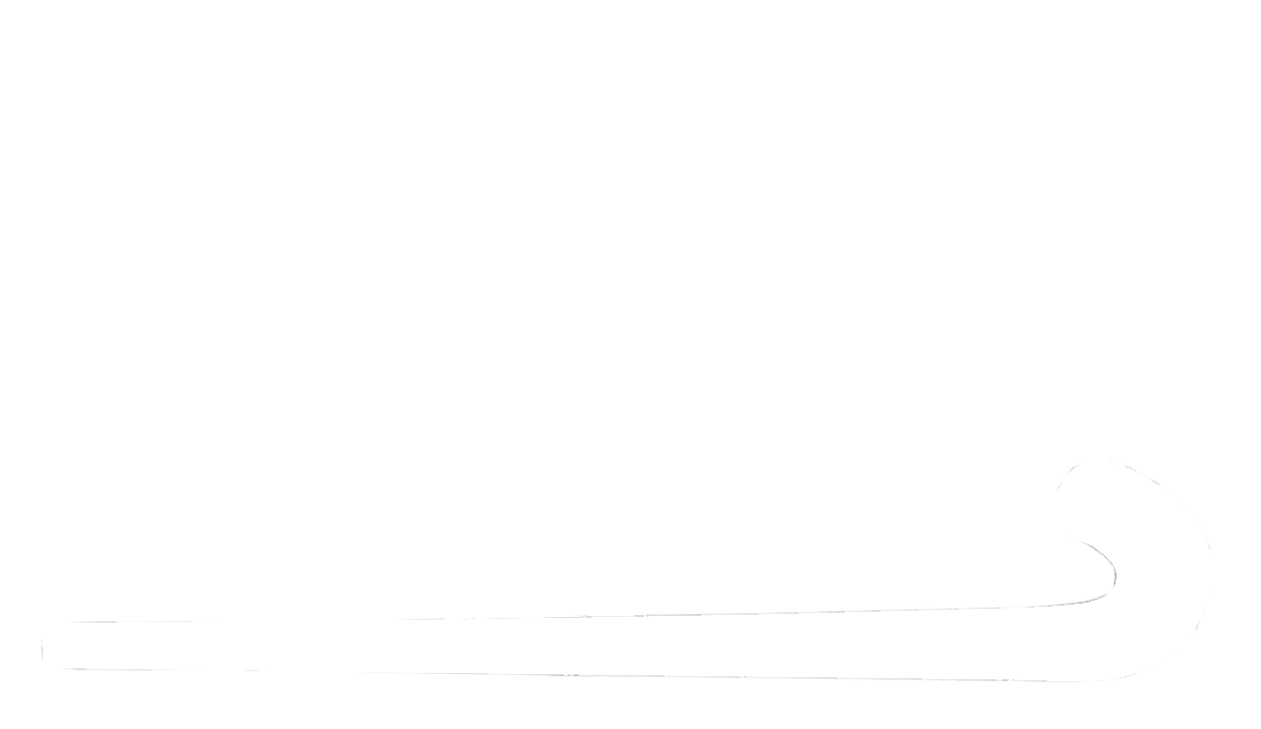 Main Logo