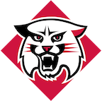 Davidson Logo