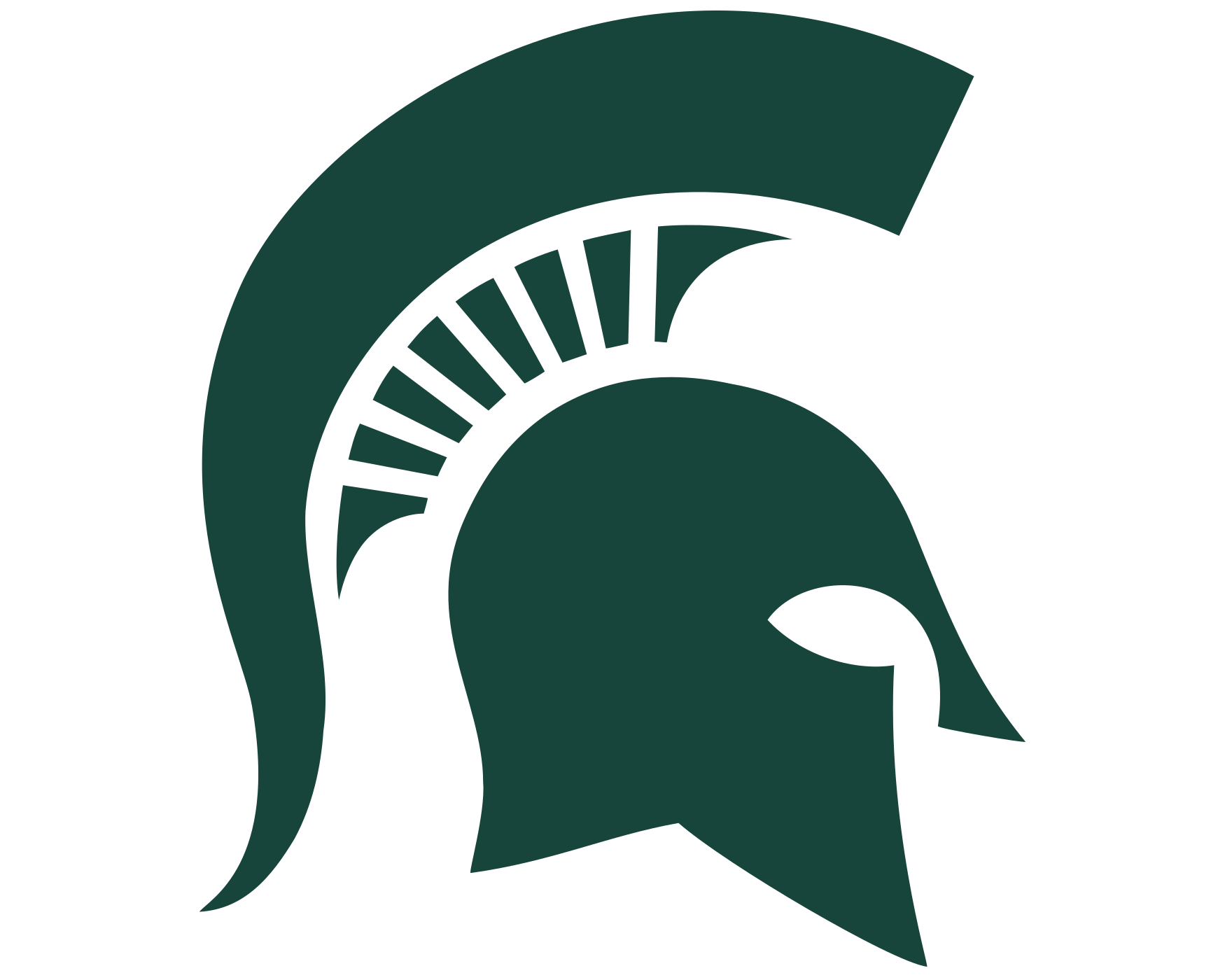 Michigan State Logo