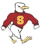 Salisbury Logo