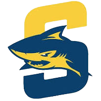 Simmons Logo