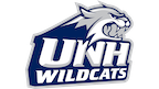 New Hampshire Logo