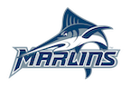 Virginia Wesleyan Logo