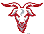 WPI Logo